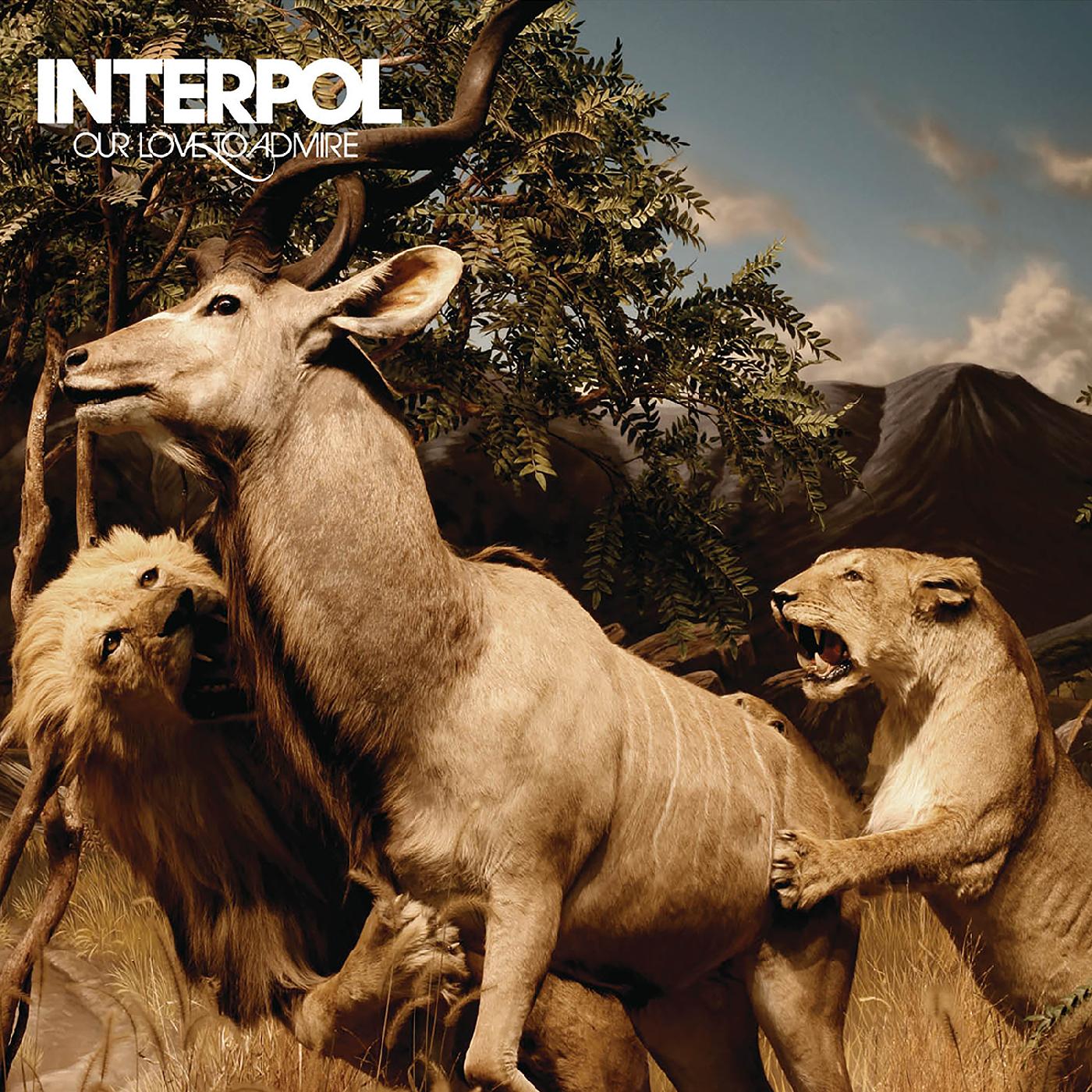 Interpol | Our Love To Admire - CD