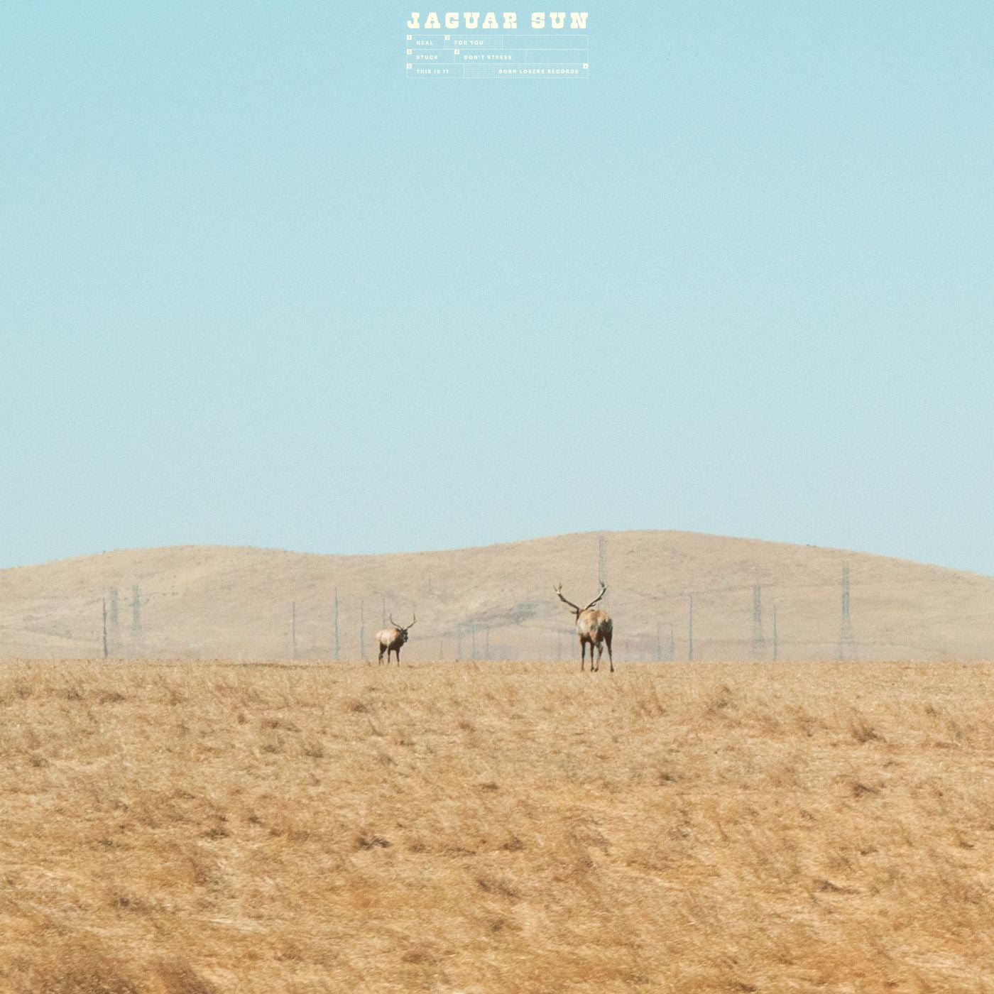 Jaguar Sun | For You (Blue And Black Swirl Vinyl) - Vinyl