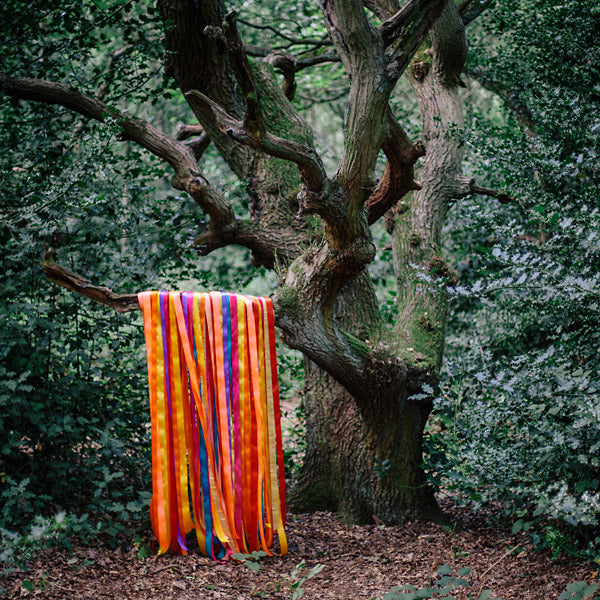 JAMES HOLDEN & THE ANIMAL SPIRITS | The Animal Spirits - CD