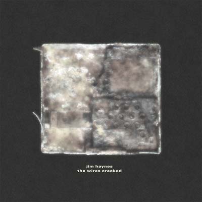 JIM HAYNES | The Wires Cracked - Vinyl