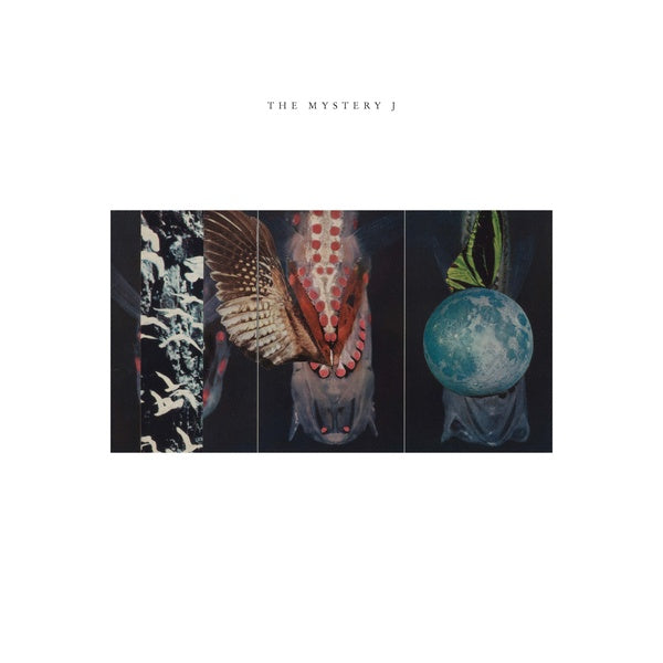 JOE MCPHEE, JEN CLARE PAULSON, BRIAN LABYCZ | The Mystery J - Vinyl