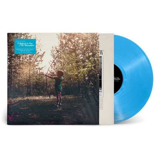 Josh Ritter | I Believe In You My Honeydew (Indie Exclusive) (Turquoise Vinyl) - Vinyl