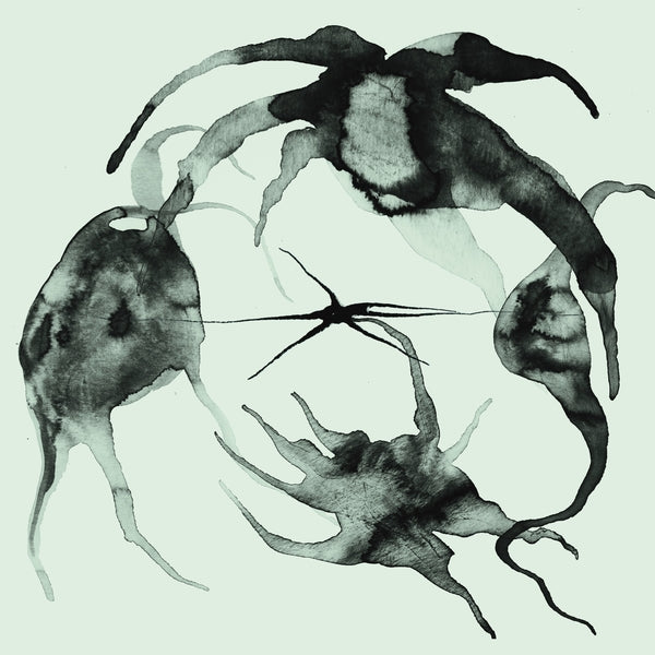 KASSEL JAEGER | A Rift In the Horizon's Wall - Vinyl