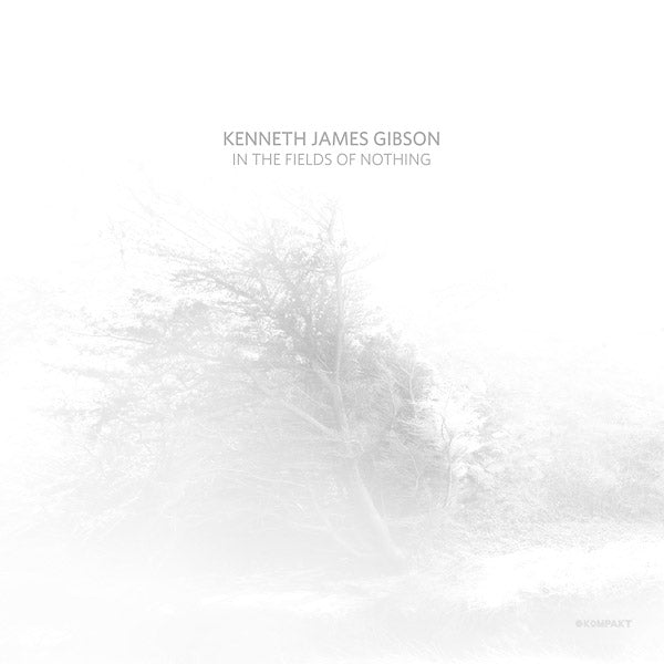 KENNETH JAMES GIBSON | In The Fields Of Nothing - Vinyl