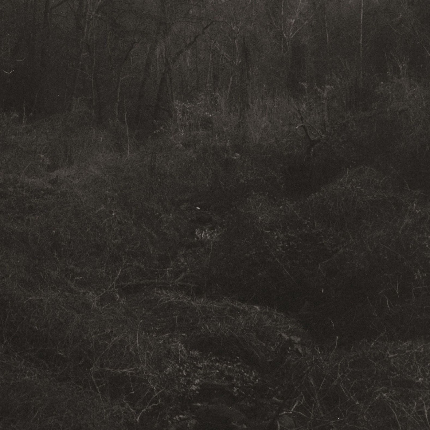 Lesley Mok | Transient - Vinyl