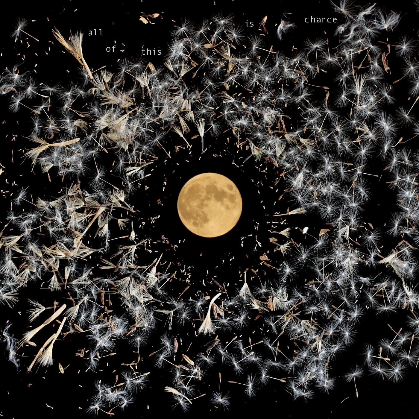Lisa O'Neill | All Of This Is Chance - CD