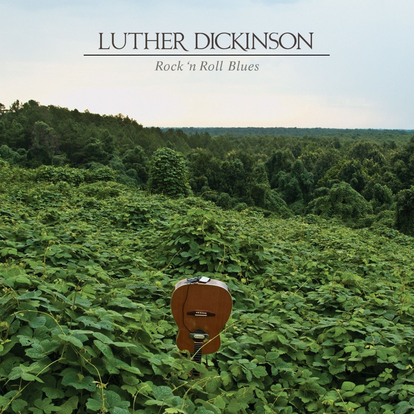 Luther Dickinson | Rock 'n Roll Blues (TRANSLUCENT GREEN VINYL) - Vinyl