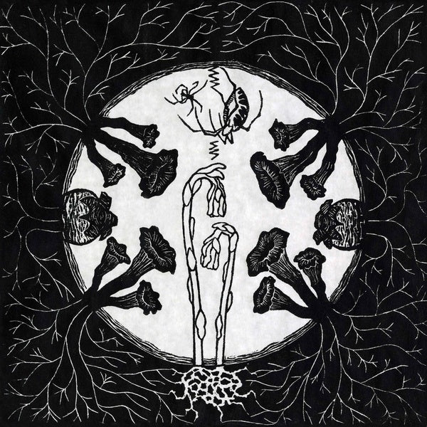 Magic Tuber Stringband | Tarantism - Vinyl