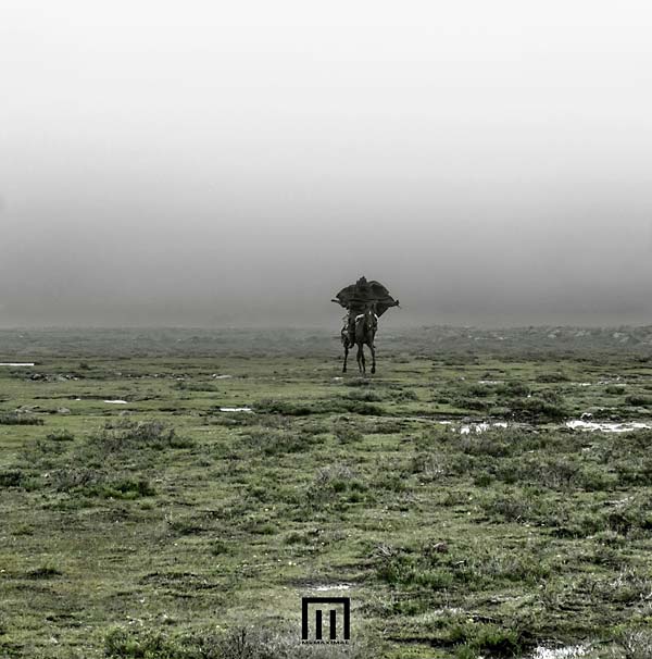 MARKUS WORMSTORM | Figure In Field - Vinyl
