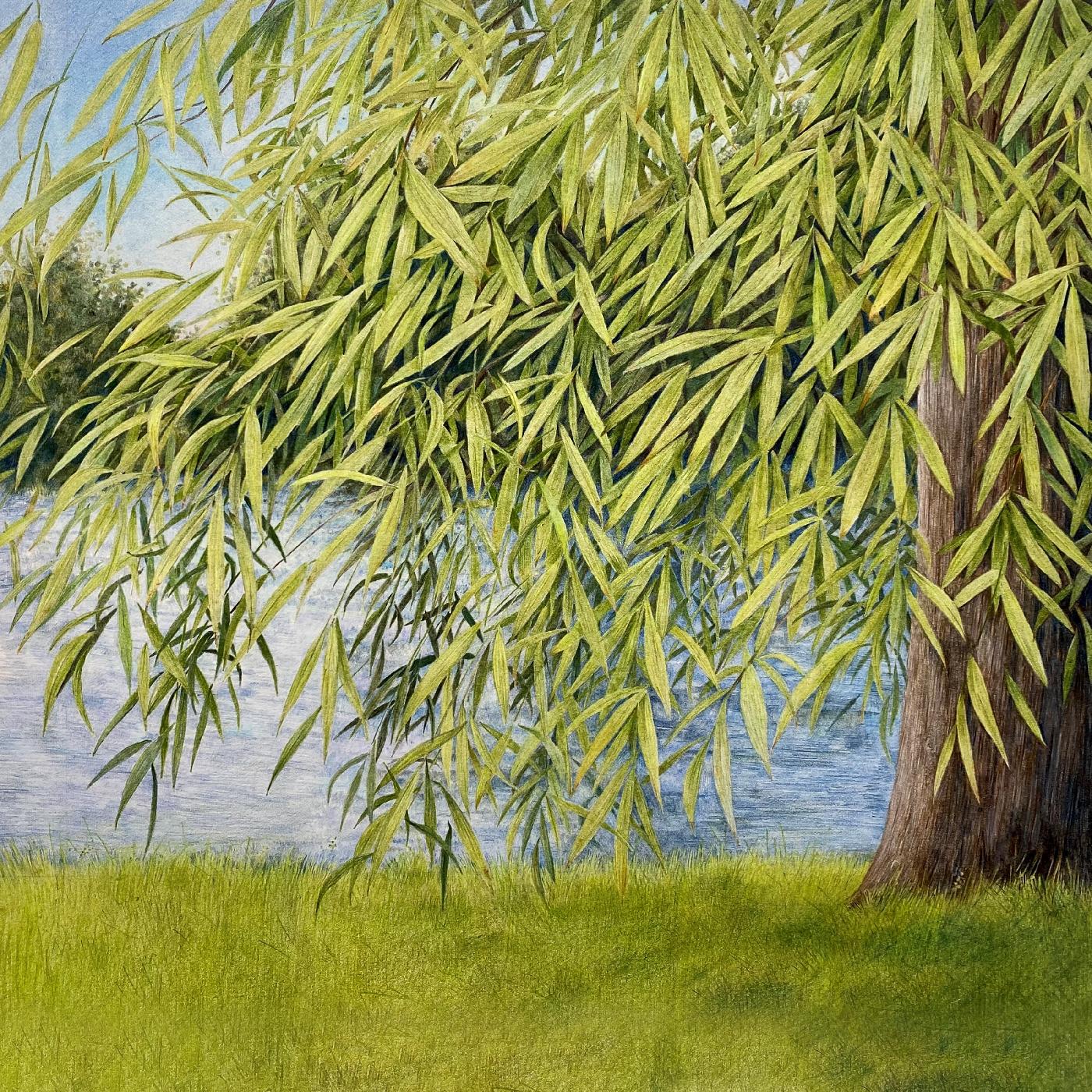 Martin & Thomm Jutz Simpson | Nothing But Green Willow : The Songs Of Mary Sands And Jane Gentry - CD