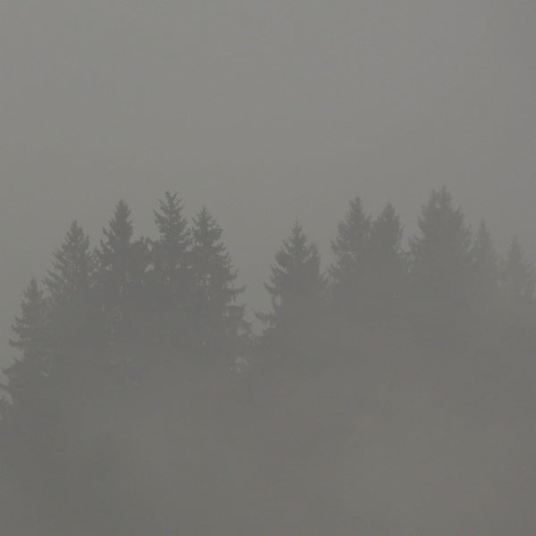 MAX LODERBAUER | Donnerwetter - Vinyl