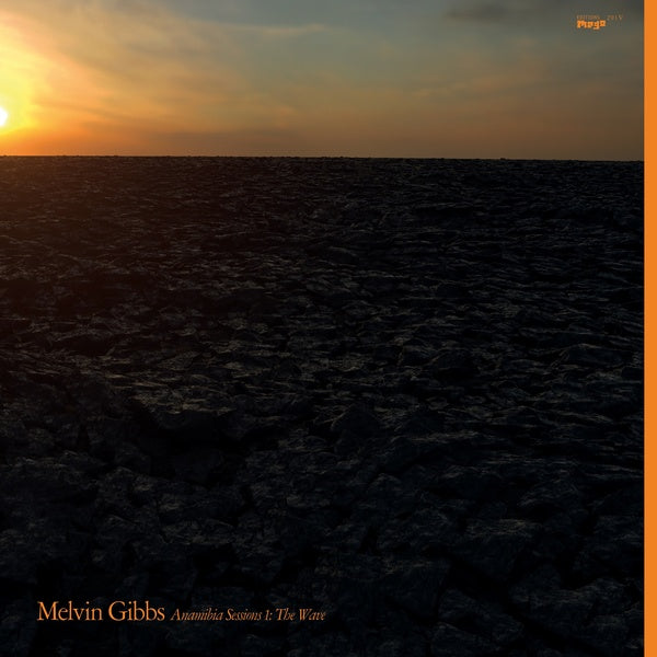 MELVIN GIBBS | Anamibia Sessions 1: The Wave - Vinyl