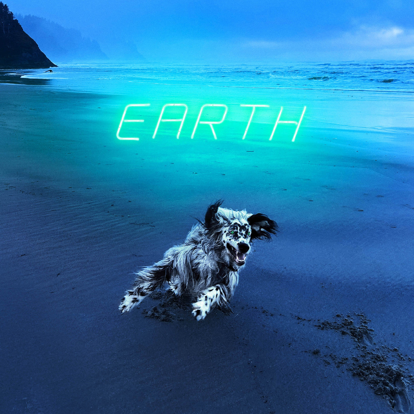 Motrik | Earth - CD