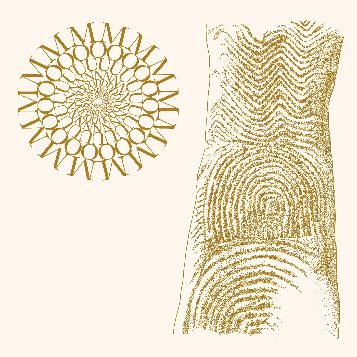 Moundabout | Flowers Rot, Bring Me Stones (BROWN & CLEAR SPECKLE VINYL) - Vinyl