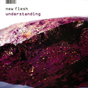 New Flesh | Understanding - CD