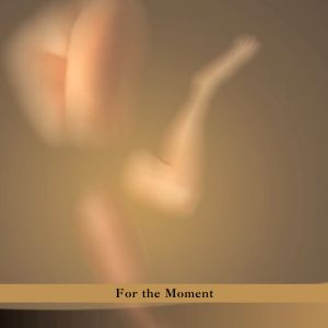 Paul Brody | For The Moment - CD