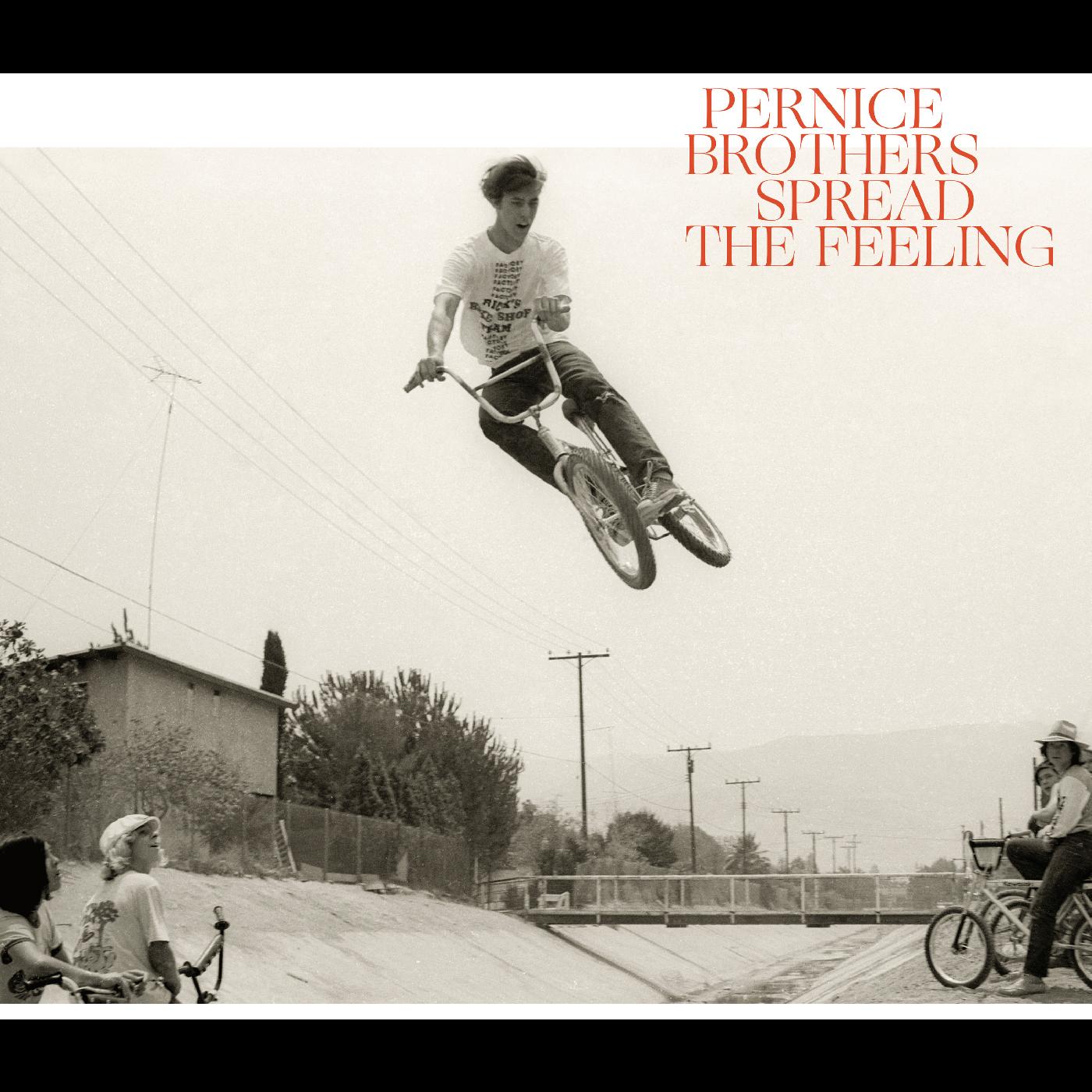 Pernice Brothers | Spread The Feeling - CD