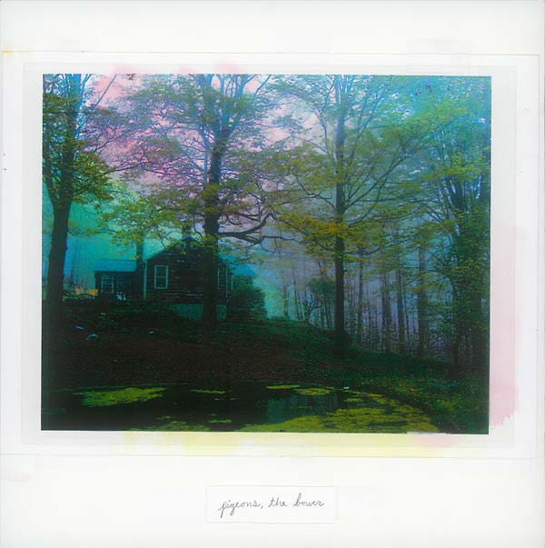PIGEONS | The Bower - Vinyl