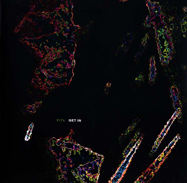 PITA | Get In - Vinyl