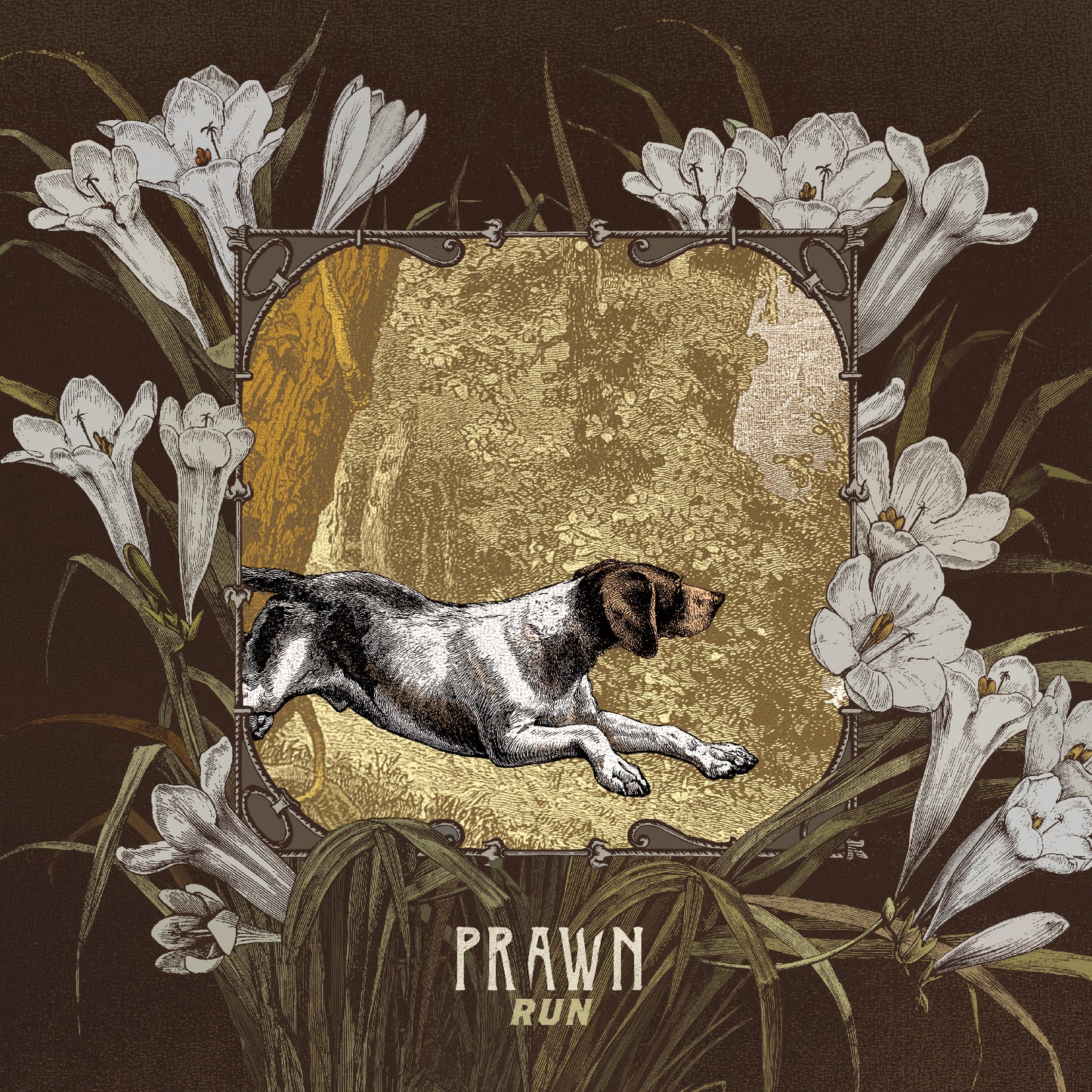 Prawn | Run - CD