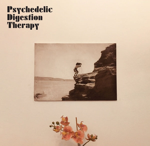 PSYCHEDELIC DIGESTION THERAPY | Psychedelic Digestion Therapy - Vinyl