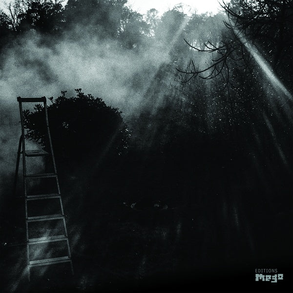 REINHOLD FRIEDL & ERYCK ABECASSIS | Animal Electrique - Vinyl