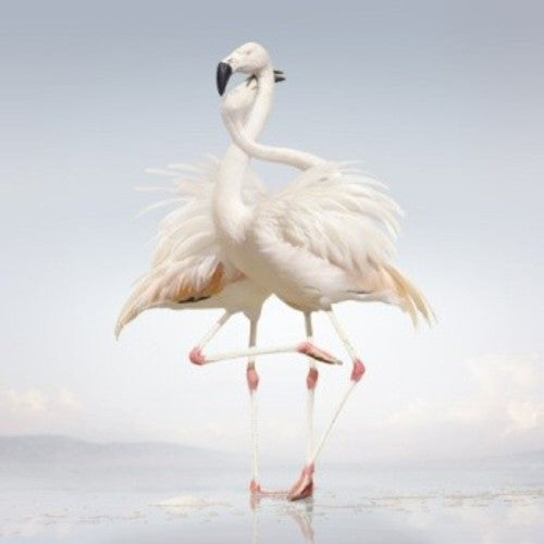 Rustie | Green Language - Vinyl