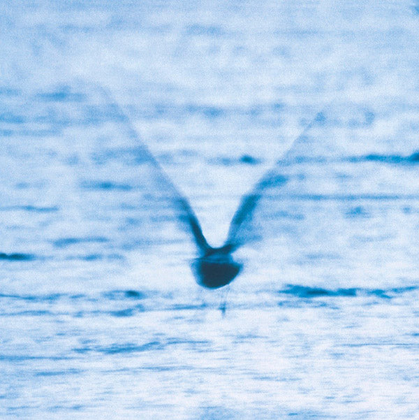 RYO FUKUI | Mellow Dream - CD