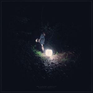 Saddest Landscape | Darkness Forgives (COLOR VINYL) - Vinyl