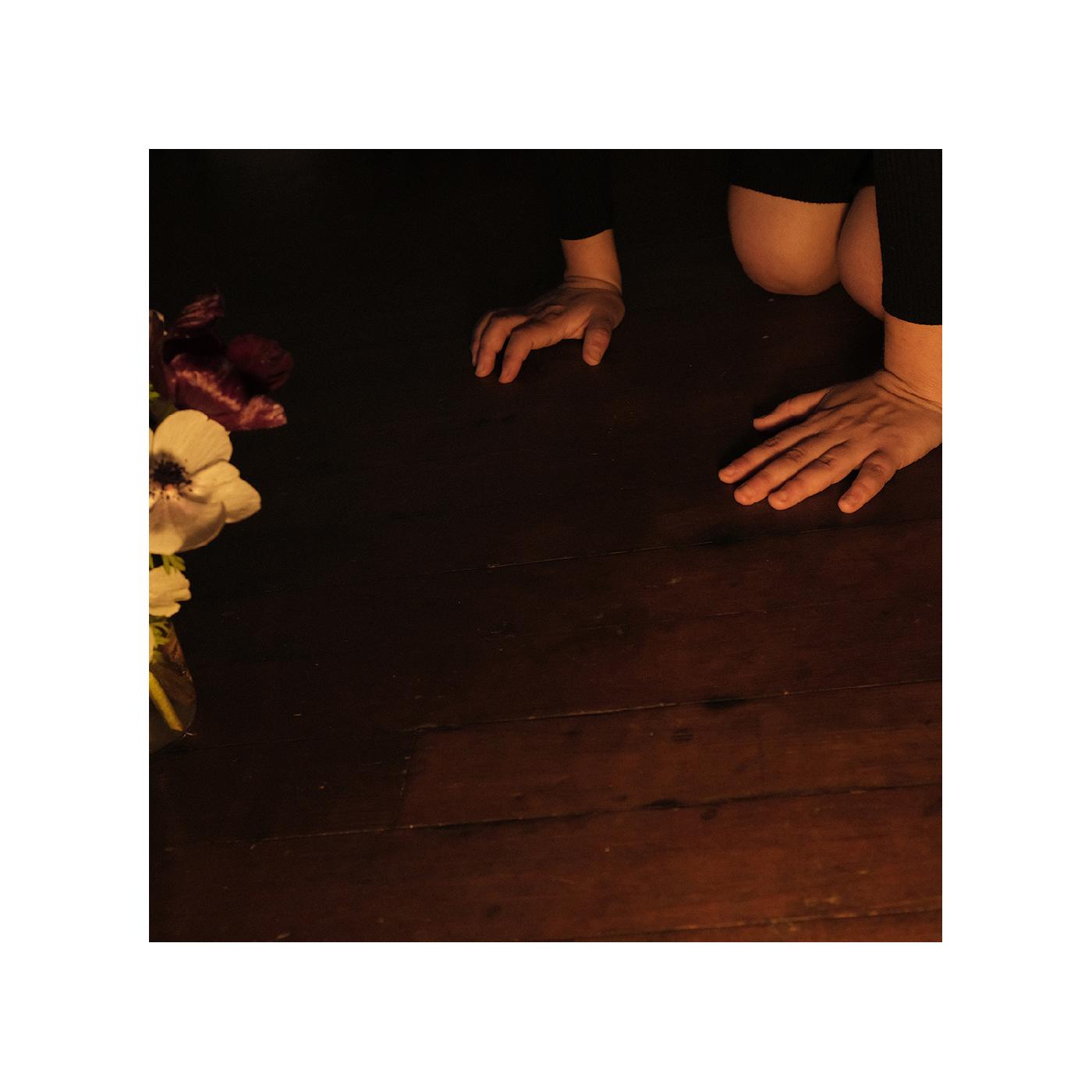 Sally Decker | In The Tender Dream - CD