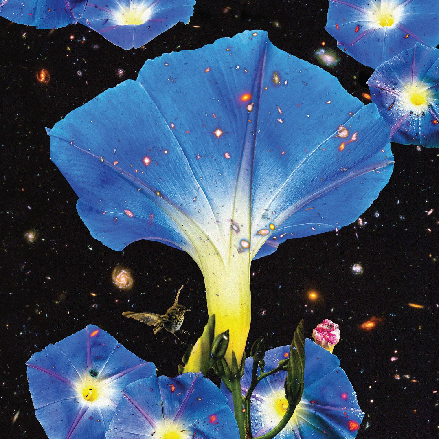 Sarah Louise | Nighttime Birds and Morning Stars - Vinyl