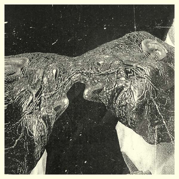 SECRET BOYFRIEND | Memory Care Unit - Vinyl
