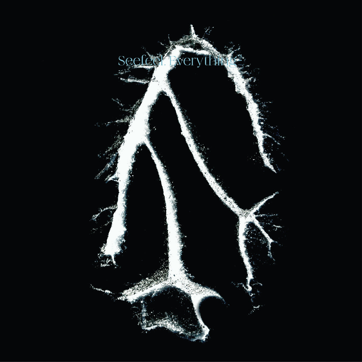 Seefeel | Everything Squared - Vinyl