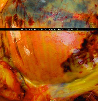 SHAPEDNOISE | Until Human Voices Wake Us - Vinyl