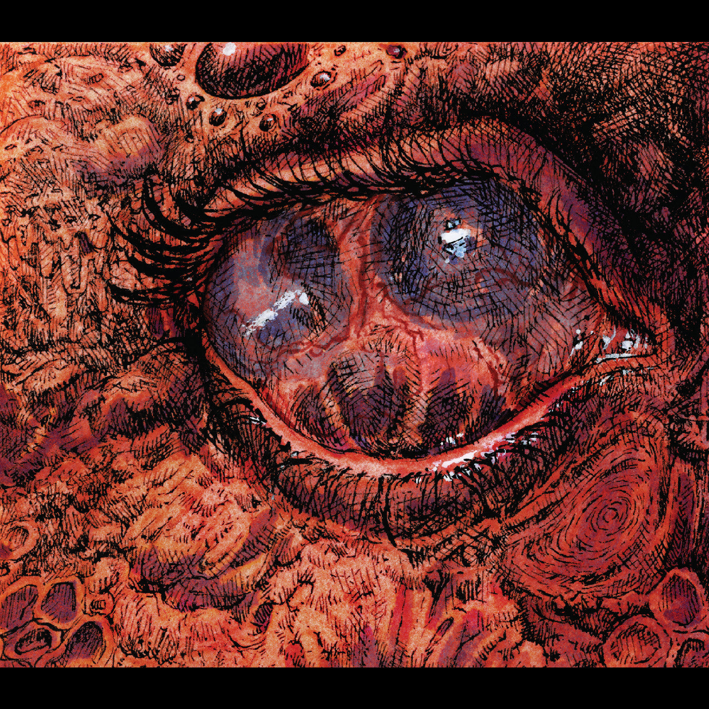 Shardik | Cruelty Bacchanal - CD