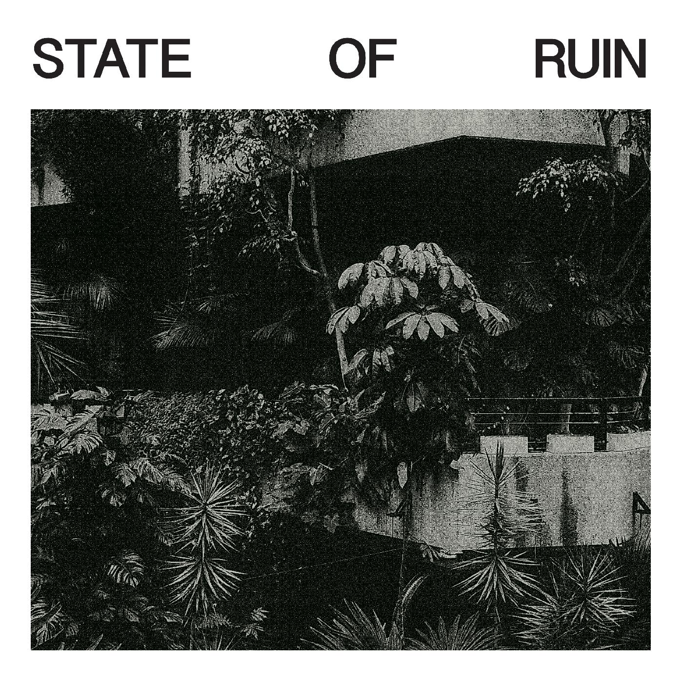 Silk Road Assassins | State Of Ruin - Vinyl