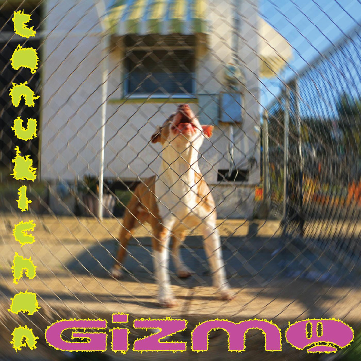 Tanukichan | GIZMO - CD