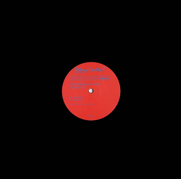 THE ANALOG ROLAND ORCHESTRA | Patterns 5/6 - Vinyl