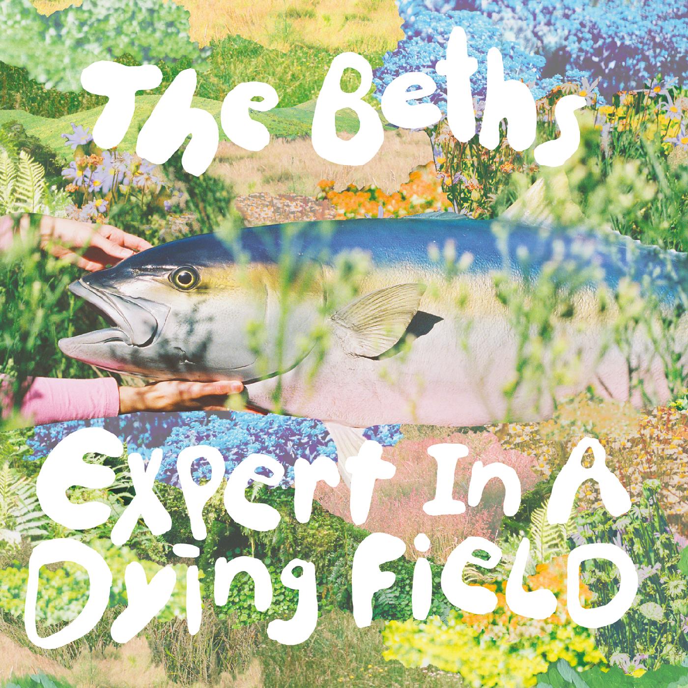 The Beths | Expert In A Dying Field - Cassette