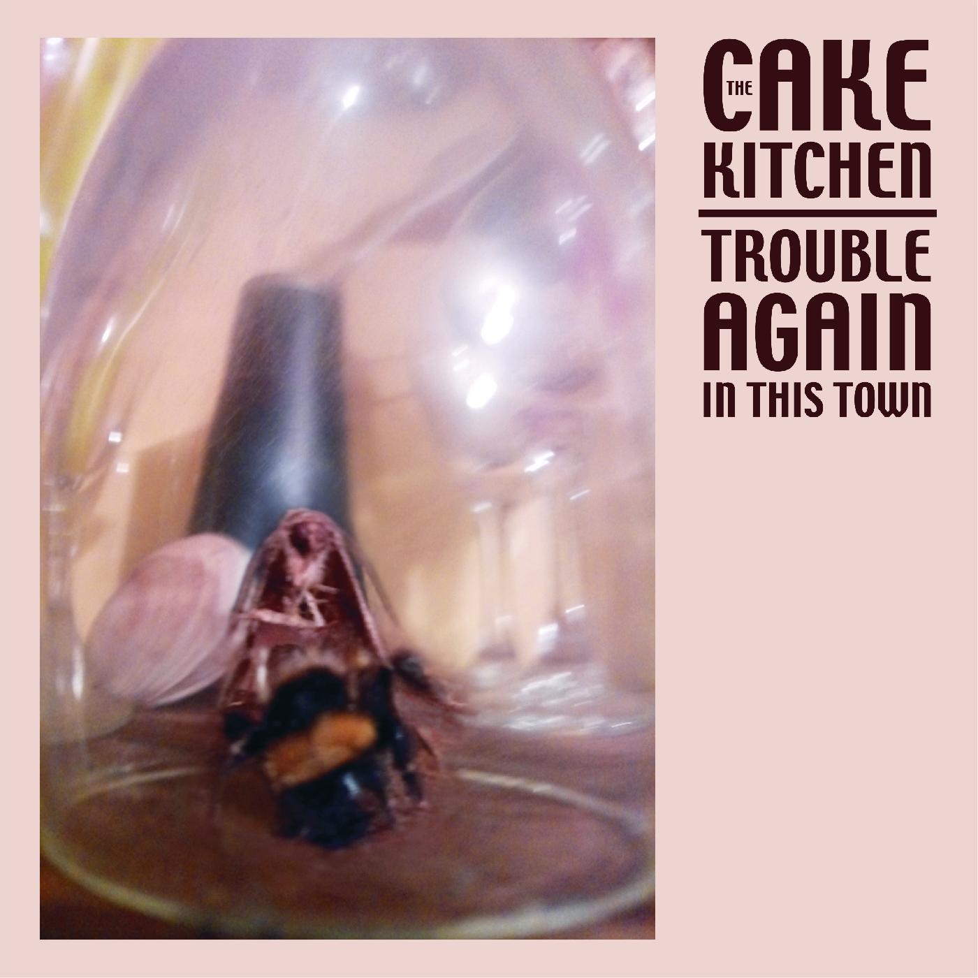 The Cakekitchen | Trouble Again In This Town - Vinyl
