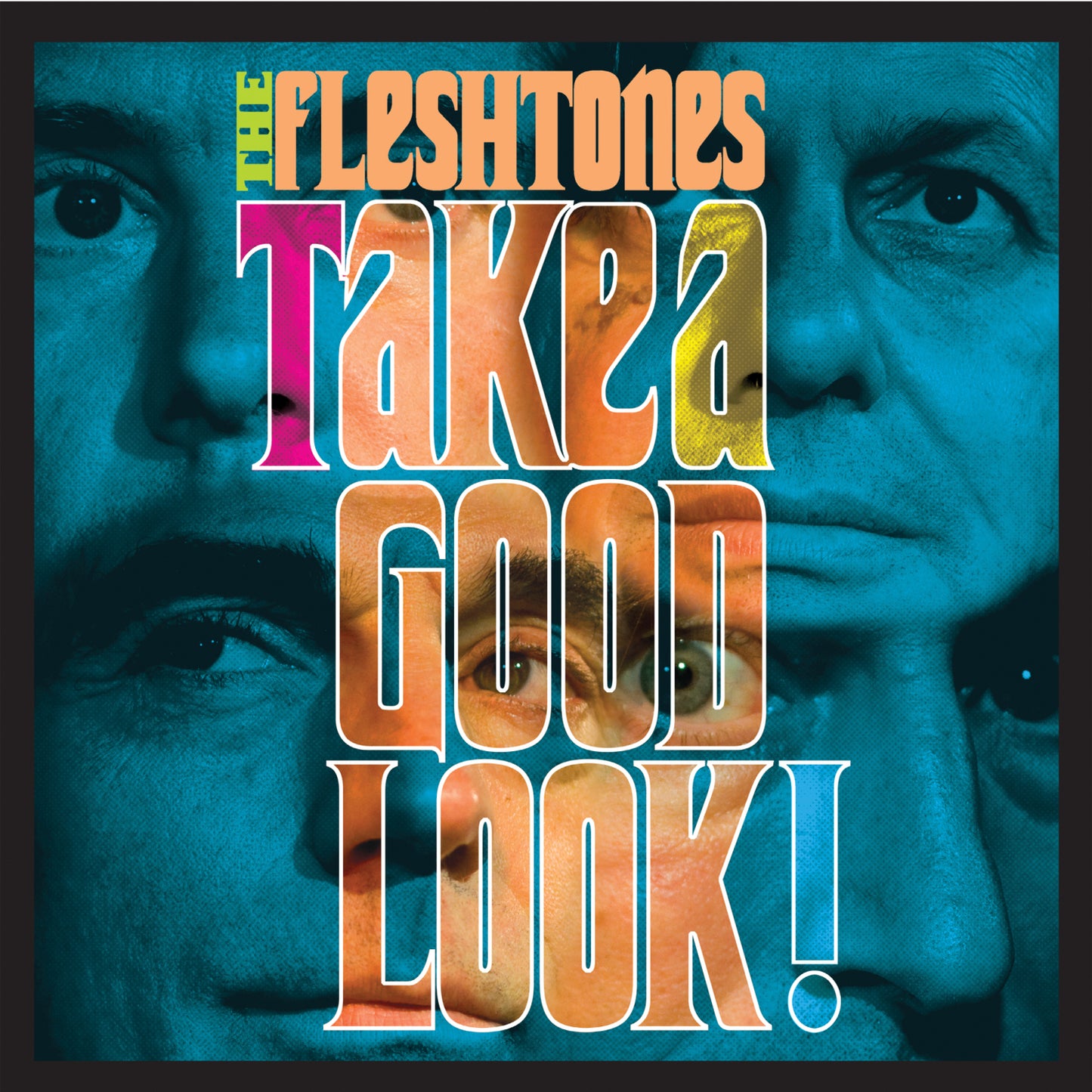 The Fleshtones | Take a Good Look - CD