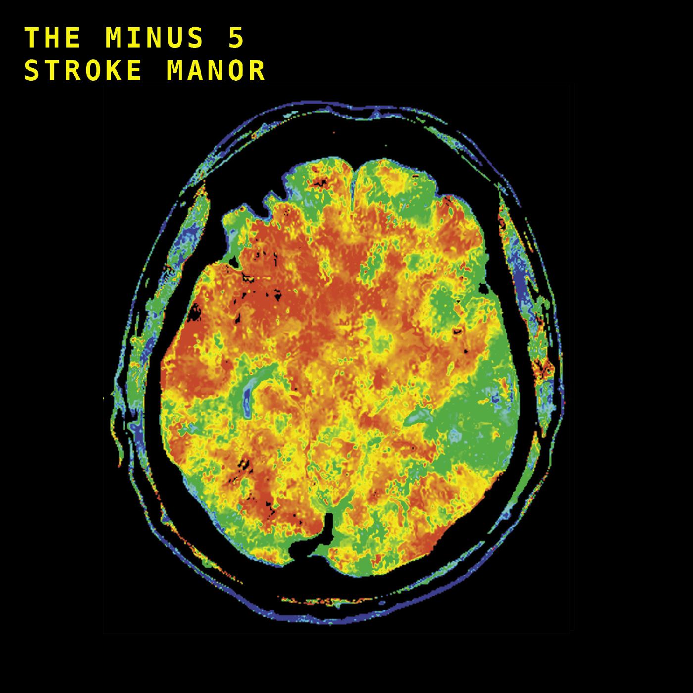 The Minus 5 | Stroke Manor - Vinyl