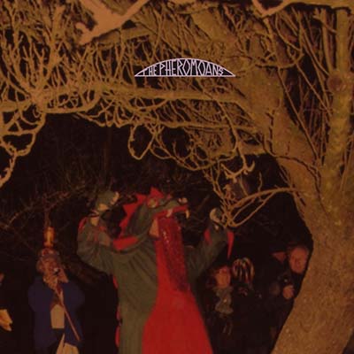 THE PHEROMOANS | Does This Guy Stack Up? - CD