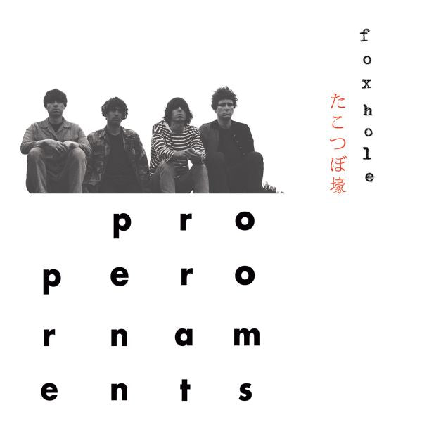 The Proper Ornaments | Foxhole - CD