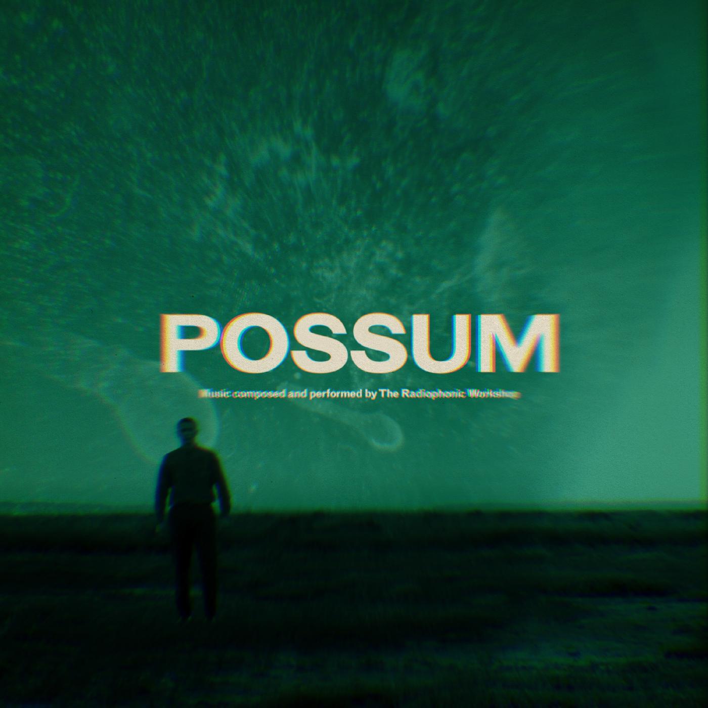 The Radiophonic Workshop | Possum - CD