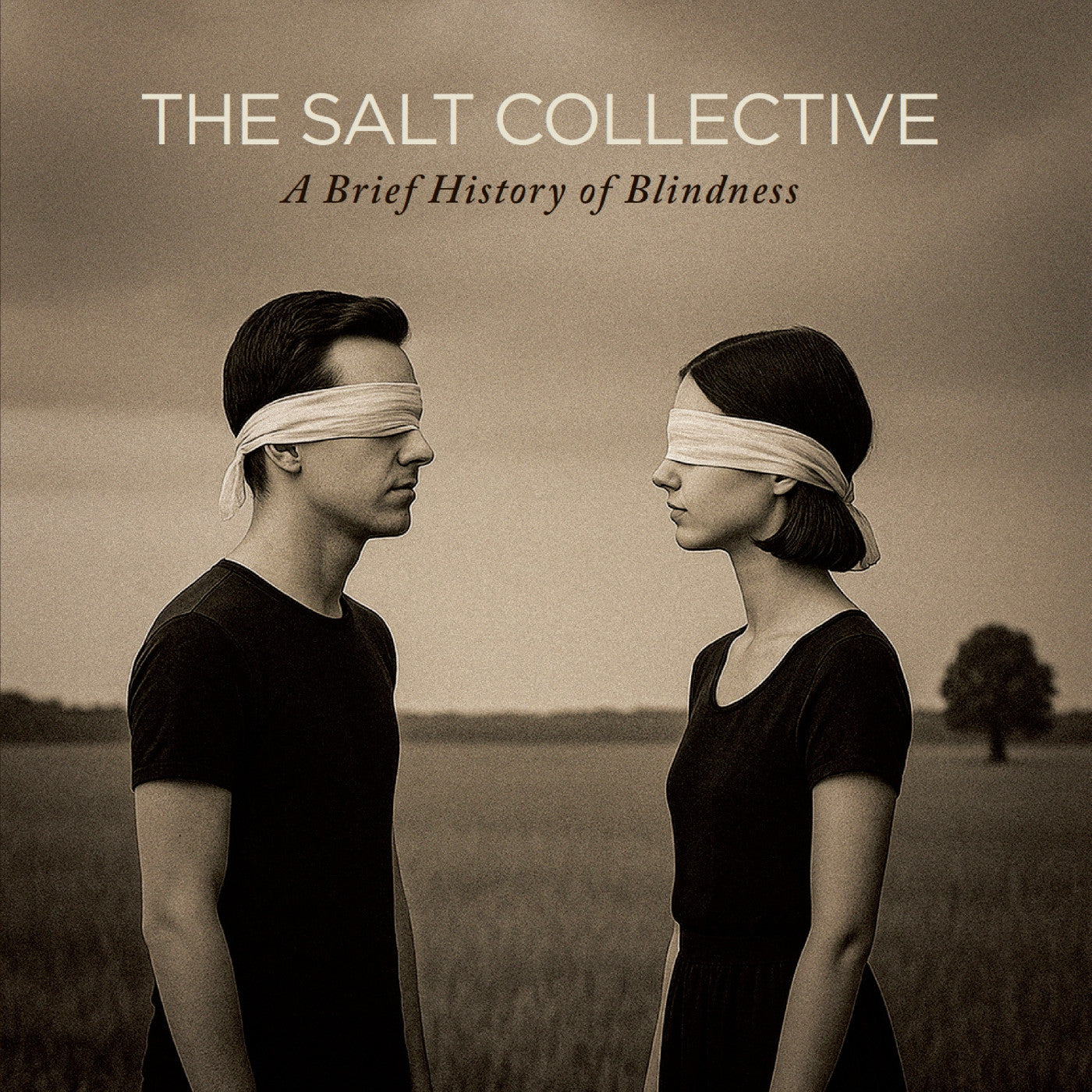 The Salt Collective | A Brief History Of Blindness - CD