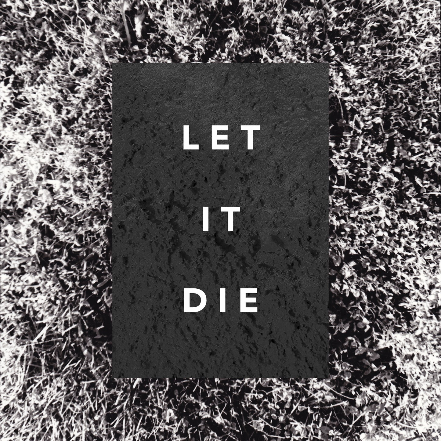The Shaky Hands | Let It Die - CD