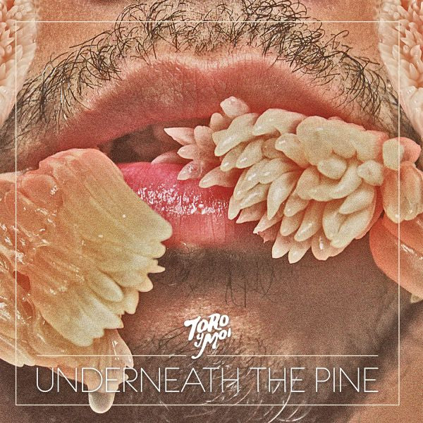 Toro Y Moi | Underneath The Pine - CD