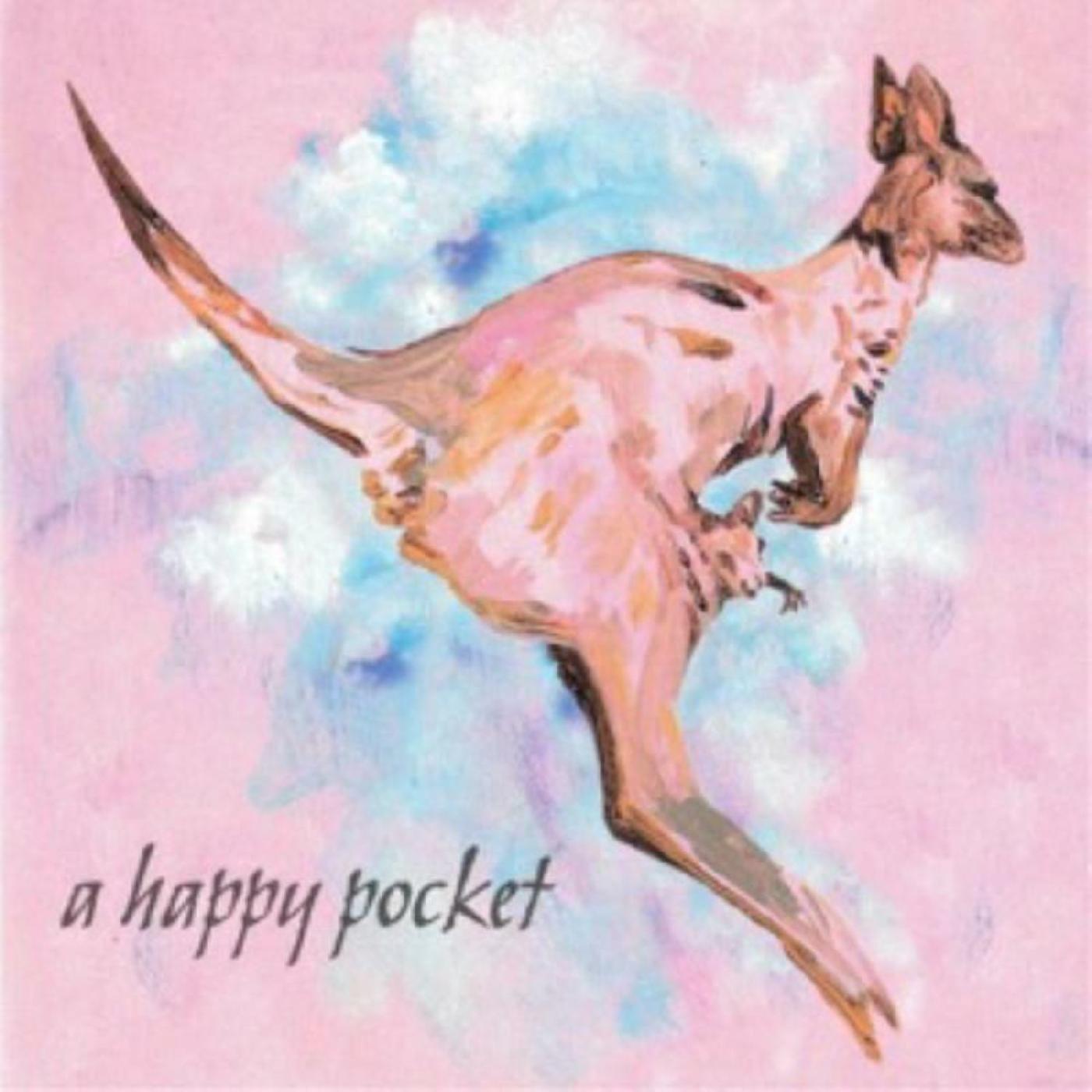 TRASHCAN SINATRAS | A Happy Pocket (PINK VINYL) - Vinyl