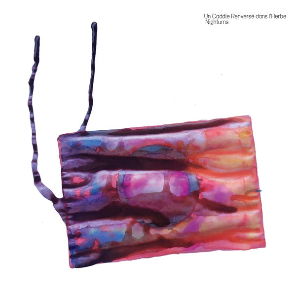 UN CADDIE RENVERSE DANS L'HERBE | Nighturns - CD